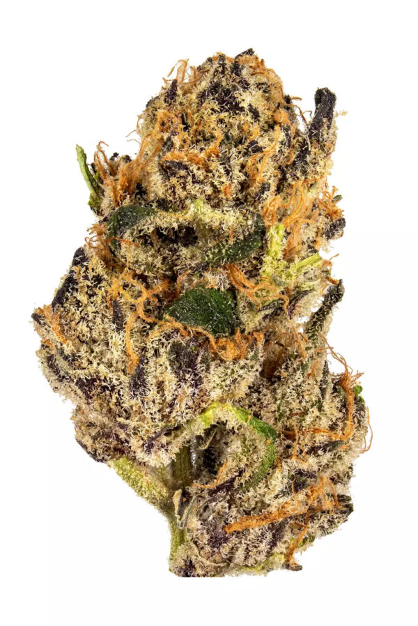 London Pound Cake| 3.5 Flower | Indica | GUCCIZZ