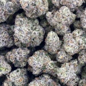 Wagyu | 3.5g Flower | Hybrid | GUCCIZZ