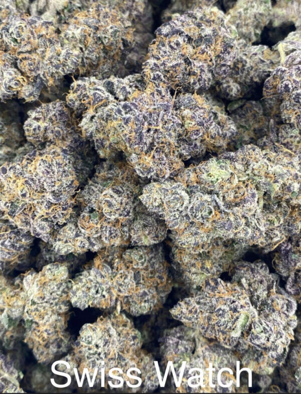 Swiss Watch | 3.5g Flower | Hybrid | GUCCIZZ