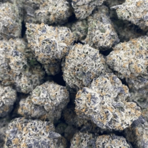Purple Haze | 3.5g Flower | Sativa | Guccizz