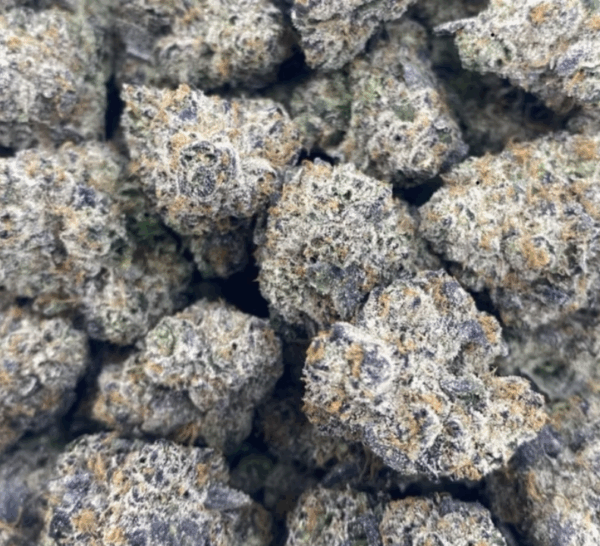 Purple Haze | 3.5g Flower | Sativa | Guccizz
